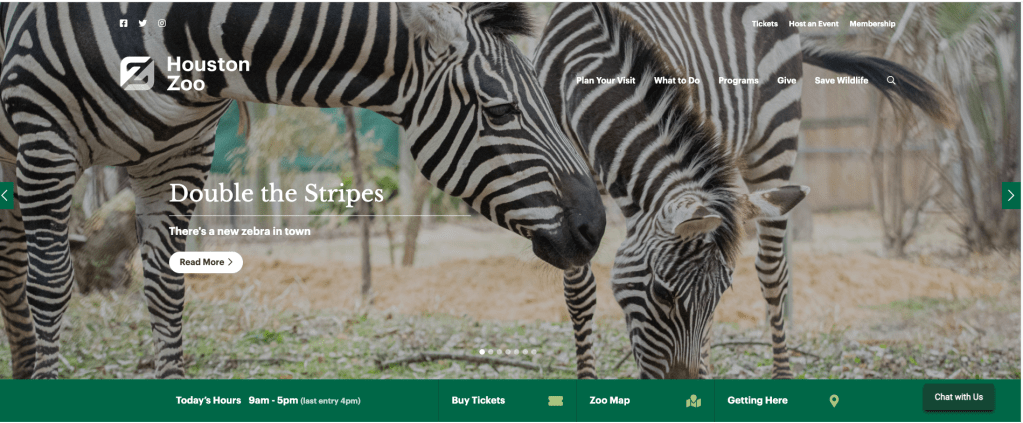 A stunning website example. Houston Zoo website designed on WordPress. Zebras, grass.