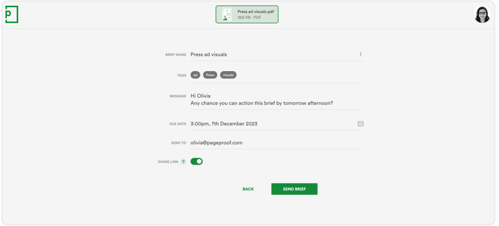 Example of PageProof‘s brief setup.