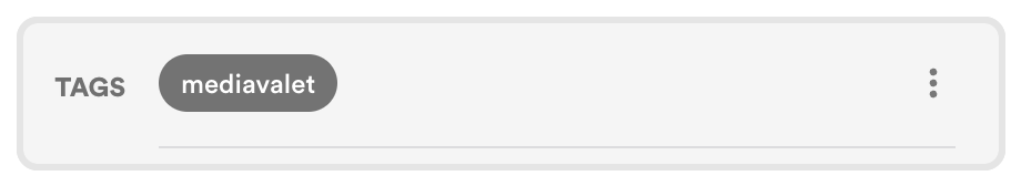 mediavalet-tag - Tips and tricks for marketing and creative teams Selected tag pill 'mediavalet' under the Tags section in a filter bar.
